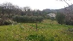 Clicca per vedere l'immagine ingrandita